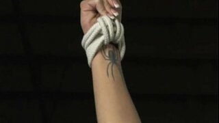 Sklad - Trening kurve - Dugometražni igrani film